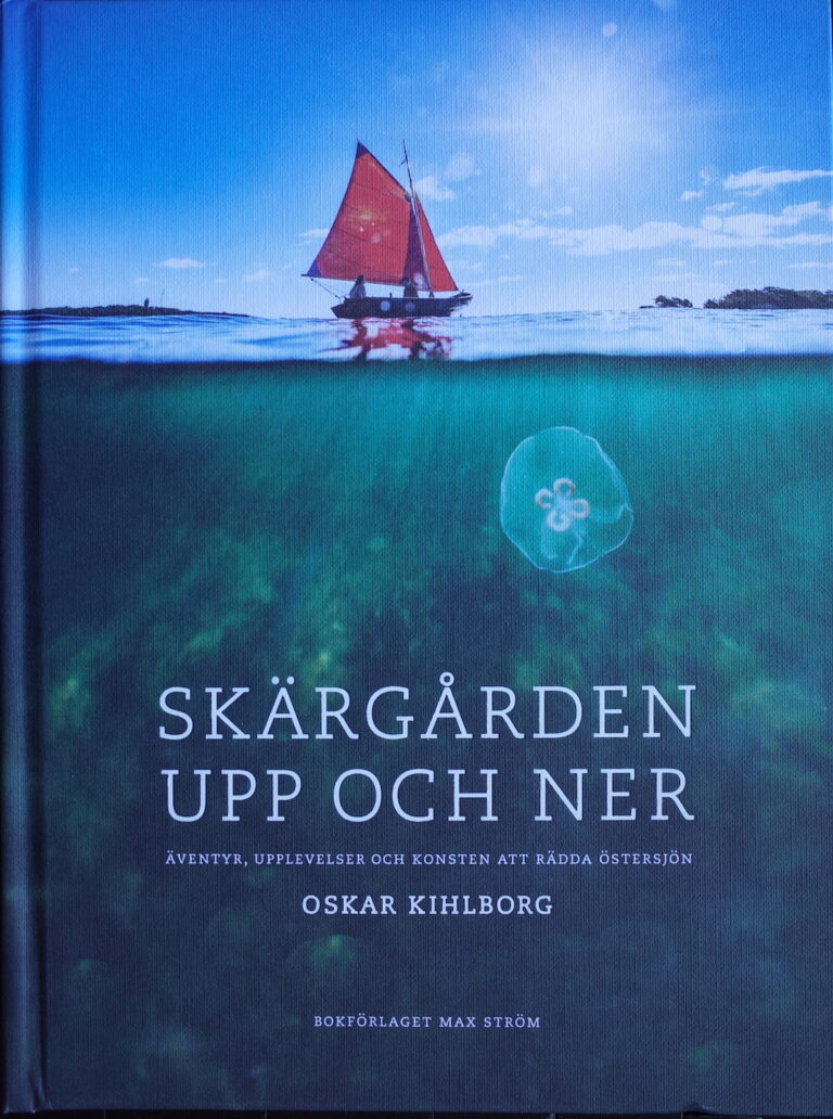 Tillsammans med Oskar Kihlborg (2019)